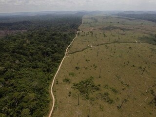 brazilia amazonsky prales ilu (SITA/AP)